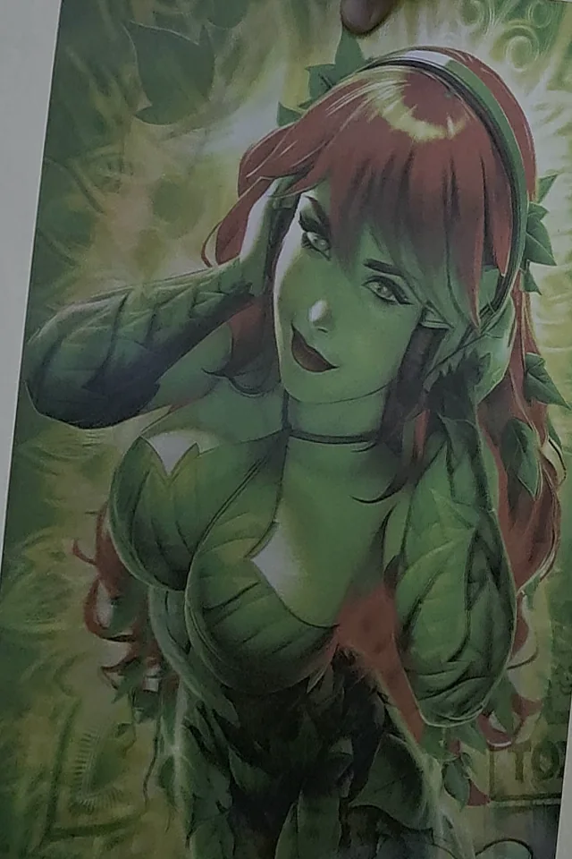 Poster flip de DC: Hiedra Venenosa y Harley Quinn