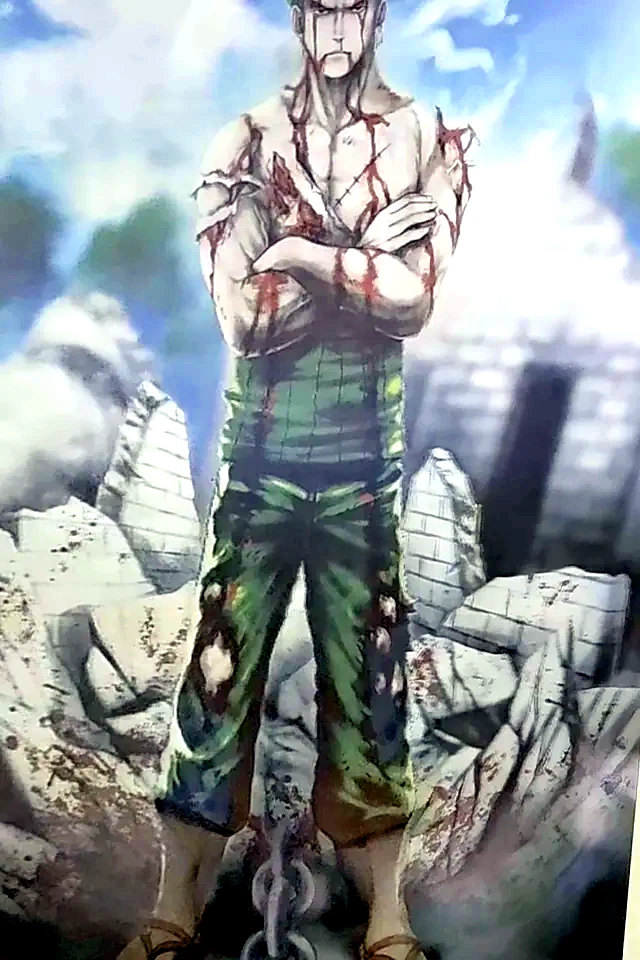Poster flip de One Piece: Zoro