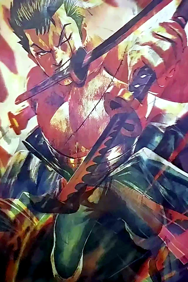 Poster flip de One Piece: Zoro