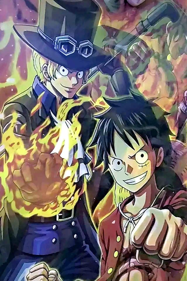 Ace y Luffy · imagen 2