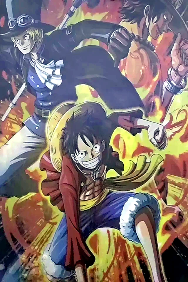 Ace y Luffy · imagen 3