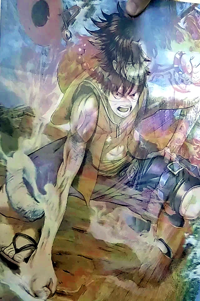 Poster flip de One Piece: Luffy y otros 2