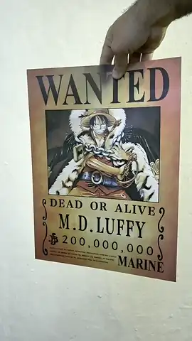 Luffy, Brook y Law en movimiento